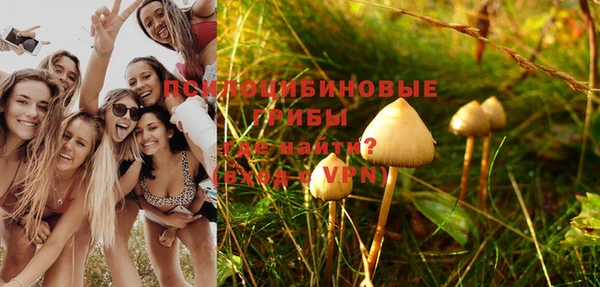 героин Каменка